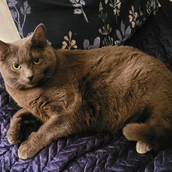 Meet your Posher, Katie - Picture 16 of 16